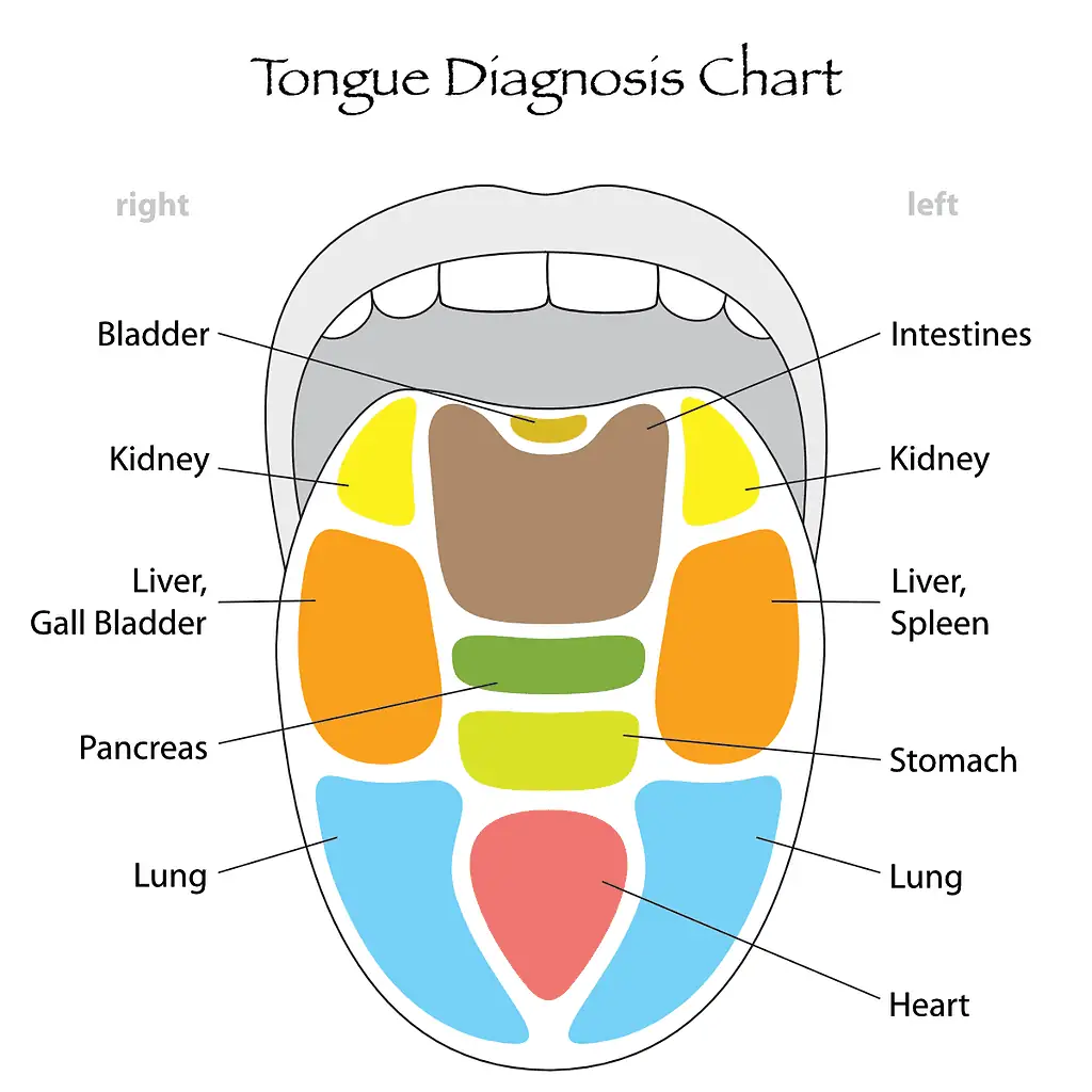 TongueDiagnosisChart